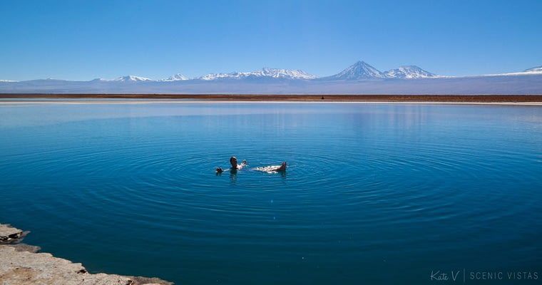 Woman floating alone in the salty Laguna Cejar in the Atacama.