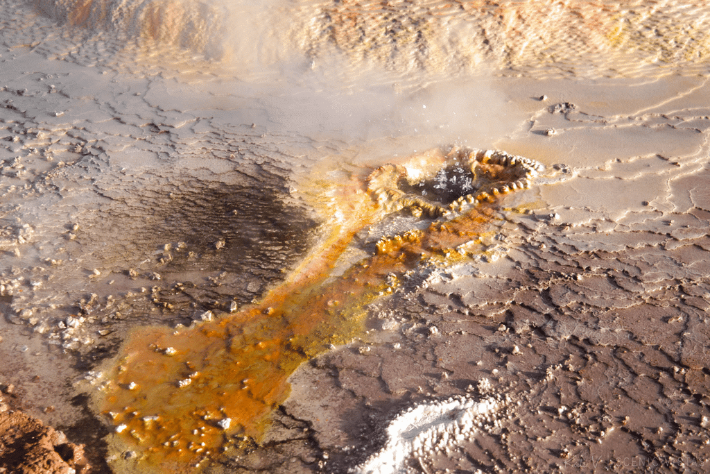 Mineral deposits from the Tatio Geysers.