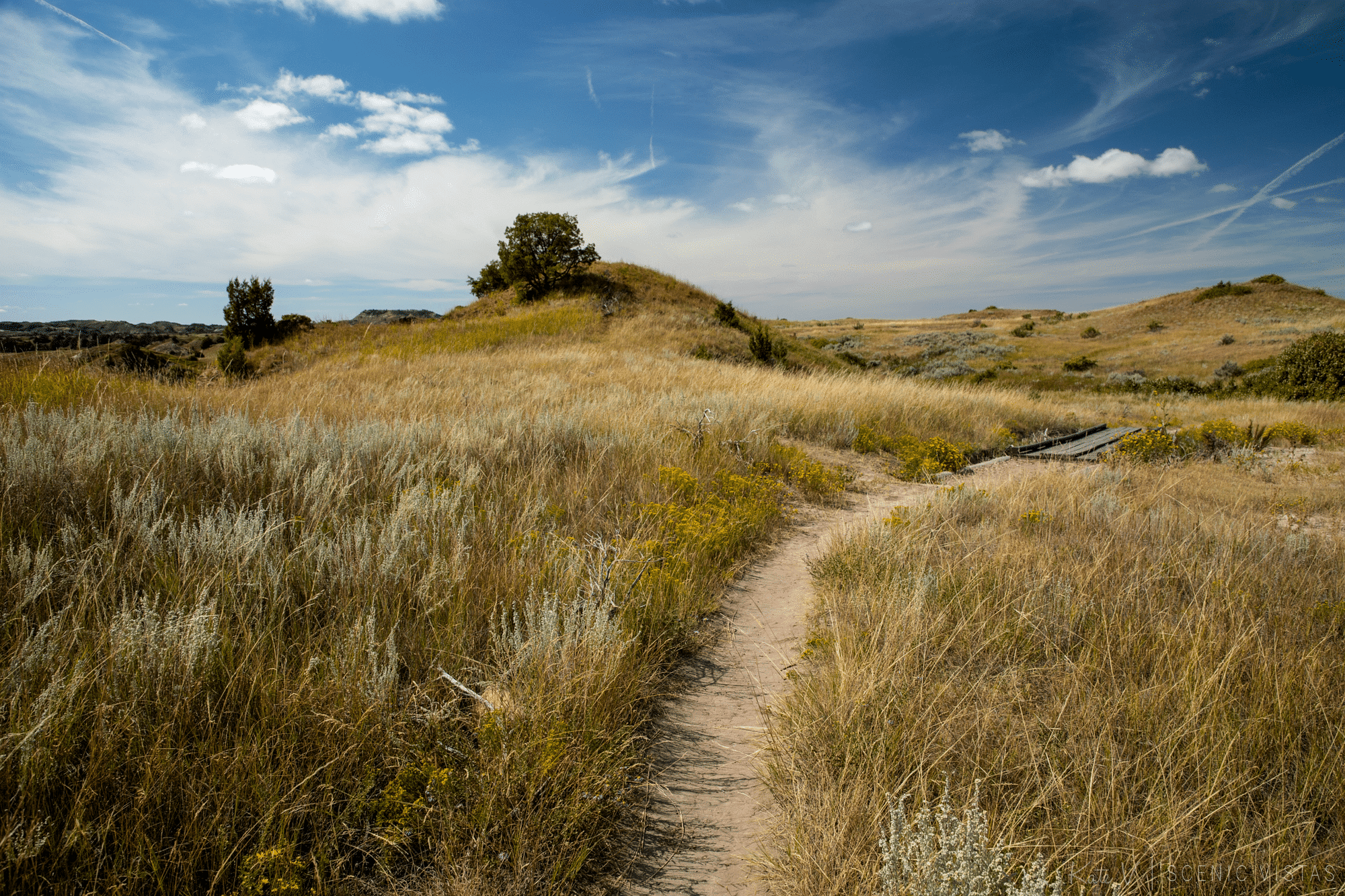 Trail to Buck Hill in Theodore Roosevelt National Park
